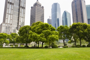 Les-espaces-verts-en-ville-ameliorent-la-sante-mentale-publique